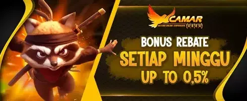 VIP Weekly Rebate 0.5% promotion banner